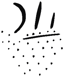 Image of the occurrence